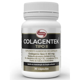 Colagentek tipo ii 60 cap vitafor